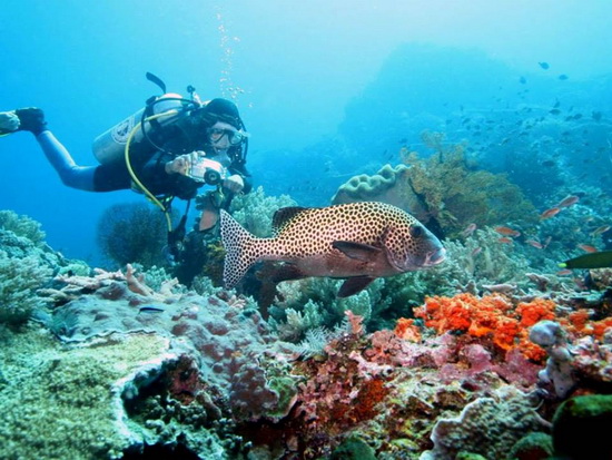 Phu Quoc Island Diving